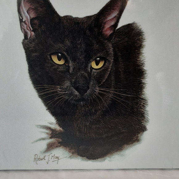 Sold Out Not For Sale - Picture 5 of 8